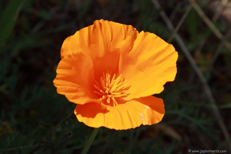 090228-054-119-BBT05