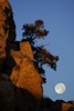 Joshua Tree N.P.