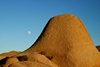 Joshua Tree N.P.
