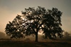 Malibu Creek S.P.