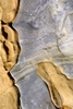 Coastal Rock