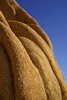 Joshua Tree N.P.