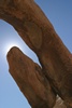 Joshua Tree N.P.