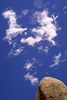 Joshua Tree N.P.