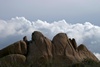 Joshua Tree N.P.