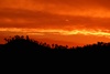 Cambria Sunrise