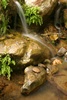 Solstice Canyon
