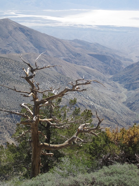 110618-041-Telescope_Peak_East
