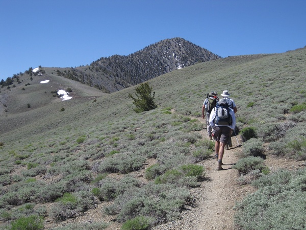 110618-046-Telescope_Peak_South