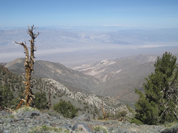 110618-056-Telescope_Peak_West