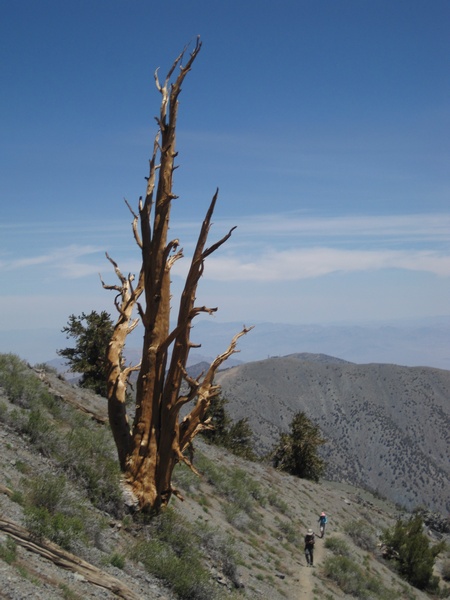 110618-062-Telescope_Peak