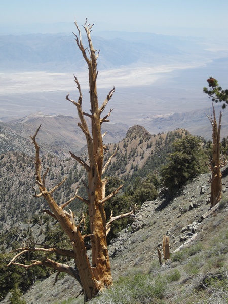 110618-088-Telescope_Peak