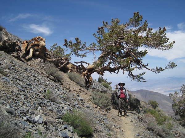 110618-100-Telescope_Peak