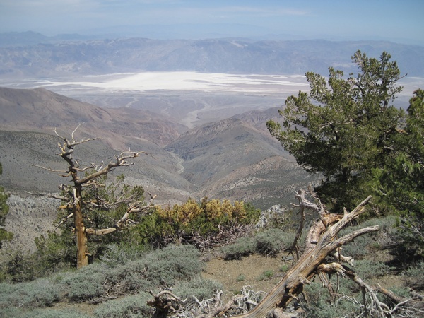 110618-106-Telescope_Peak_East